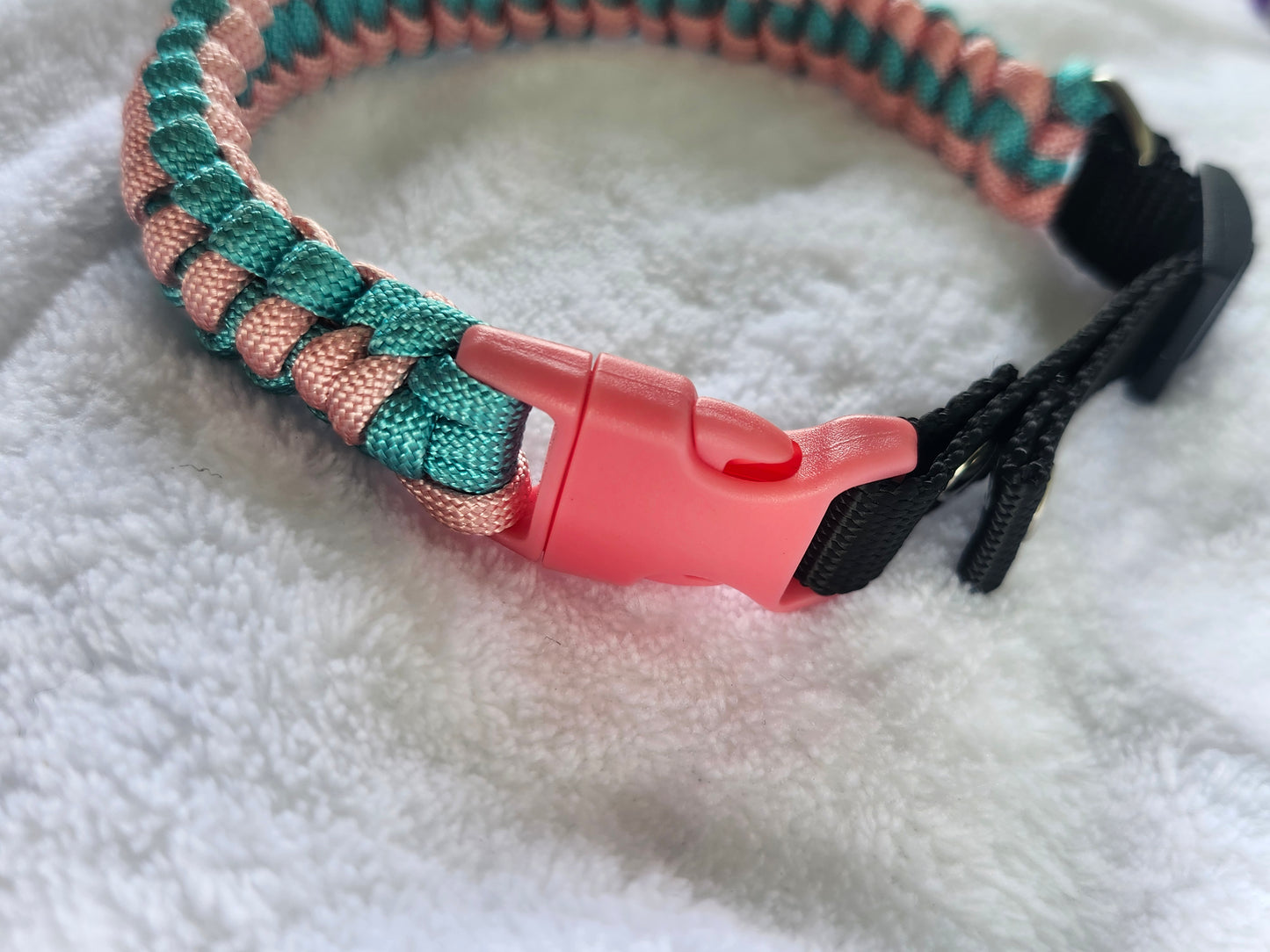 Collares para mascotas