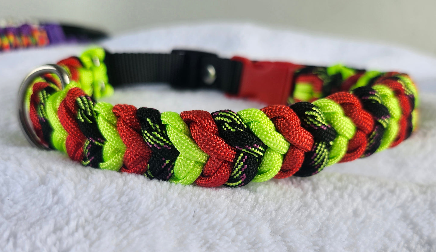 Collares para mascotas