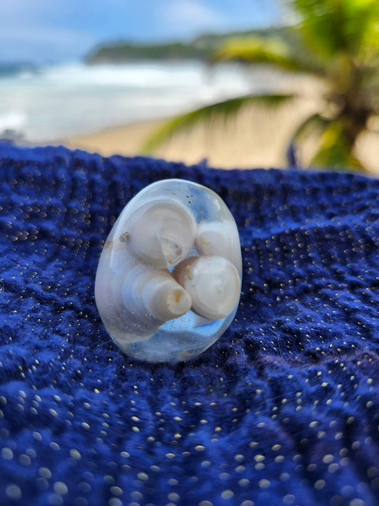 Calavera pequeña caracoles