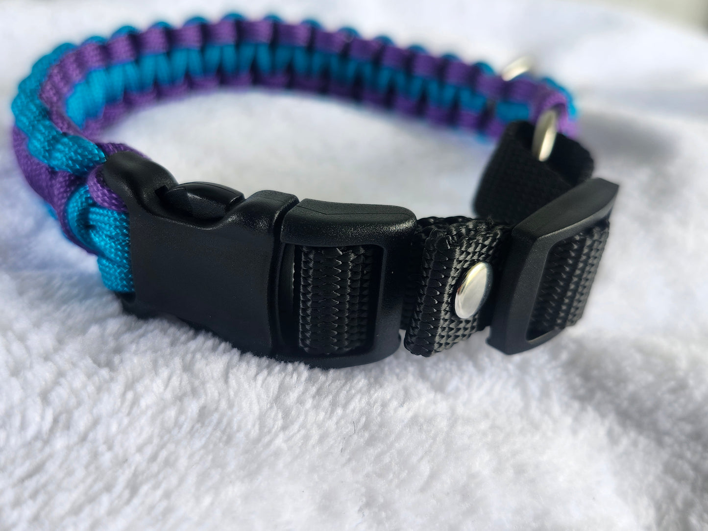 collares para perritos medium