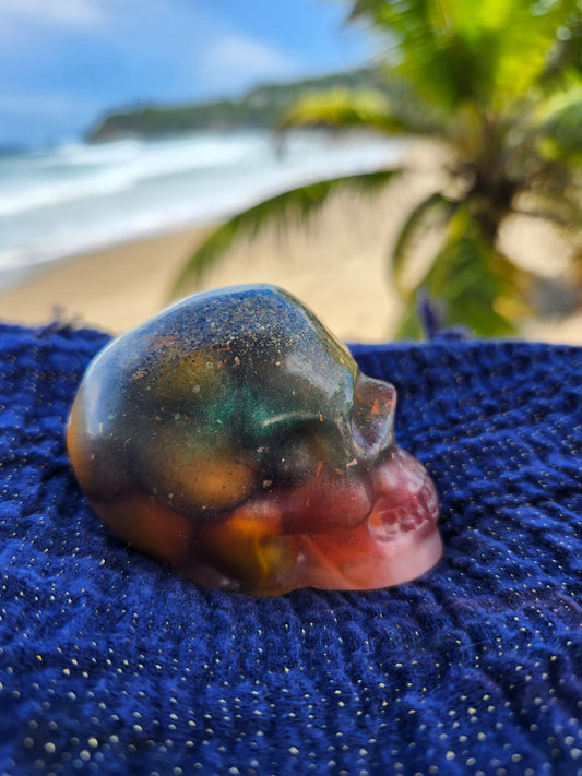 Calavera Mediana con semillas y arena