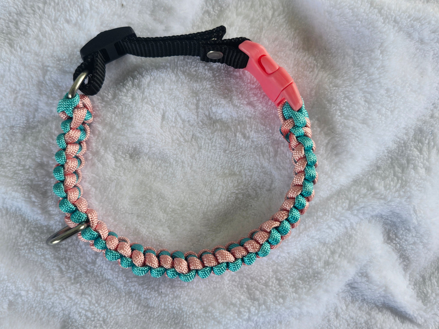 Collares para mascotas