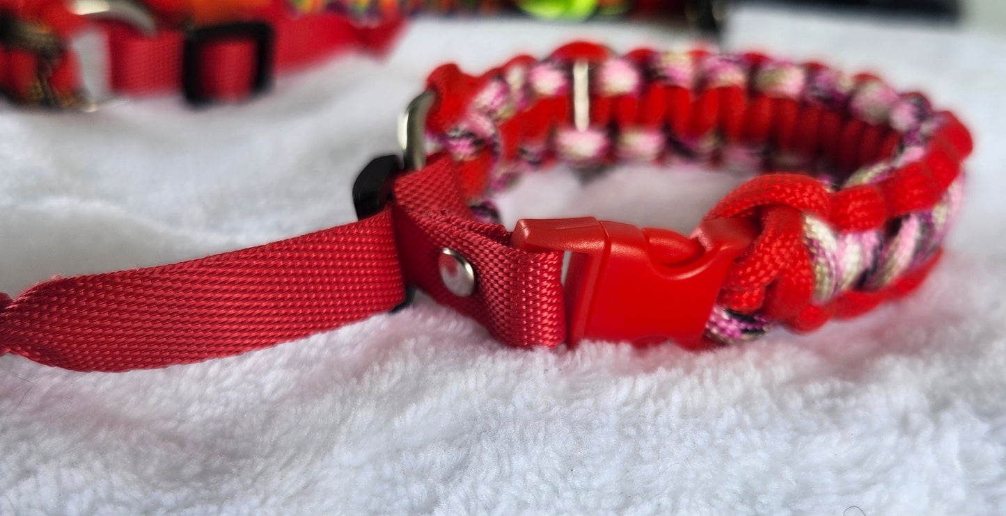 Collares para mascotas