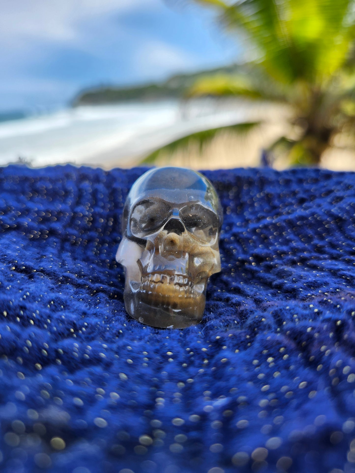 Calaveras Medianas