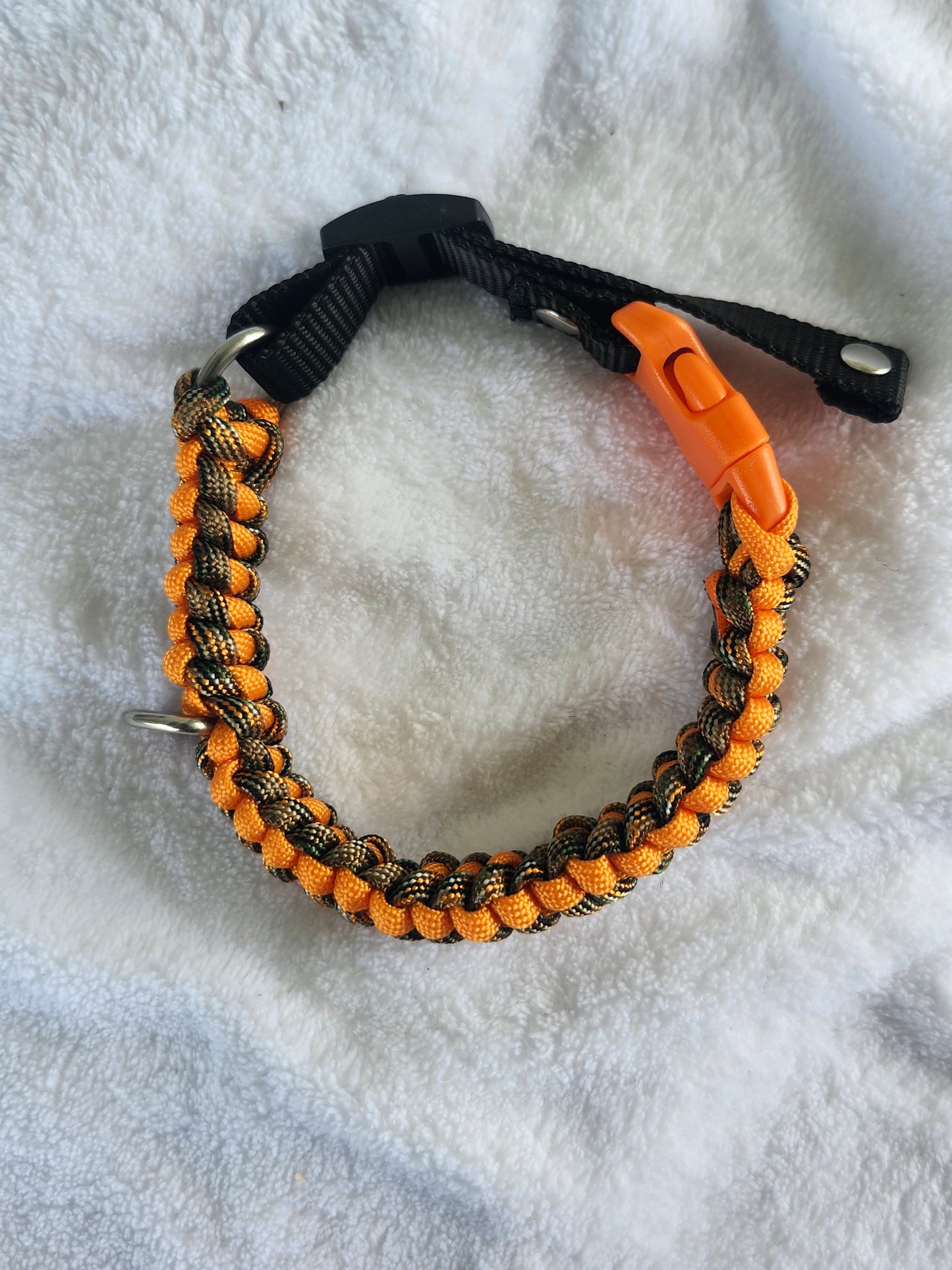 Collares para mascotas