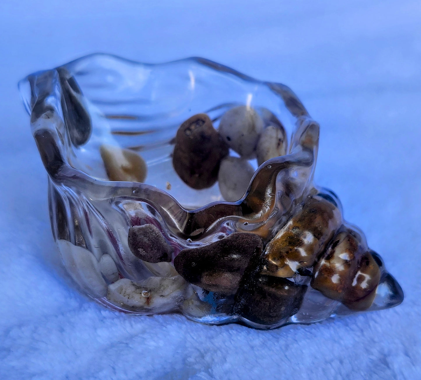 Caracoles pequeños
