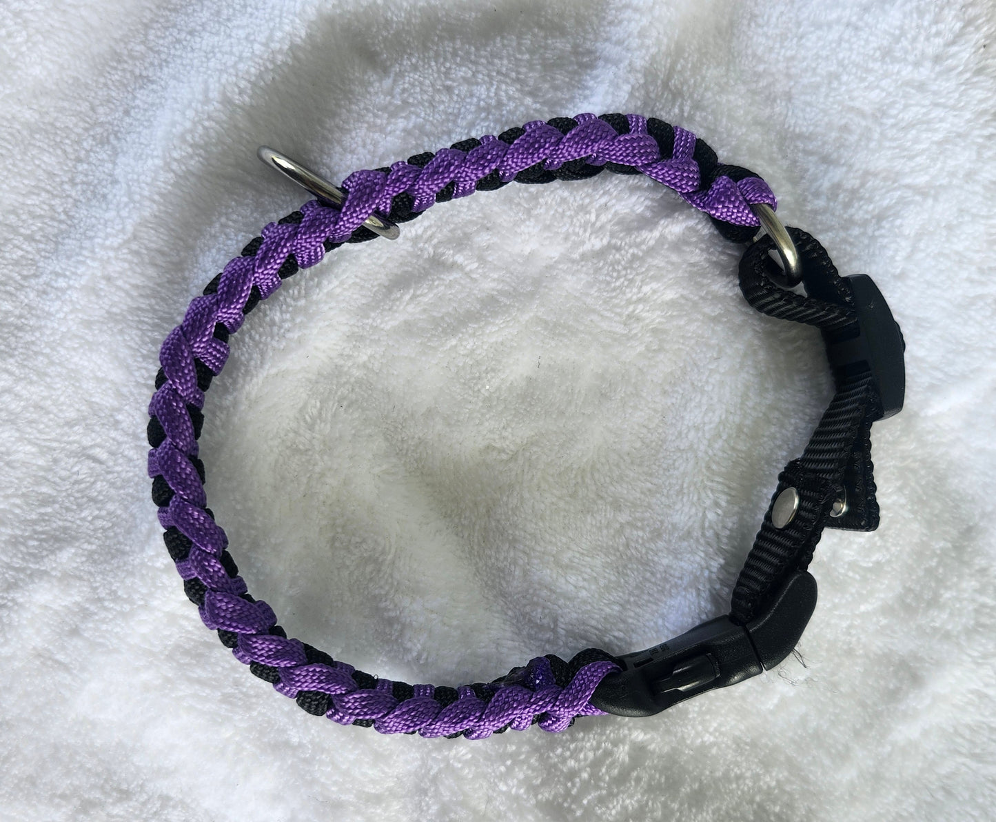 Collares para mascotas