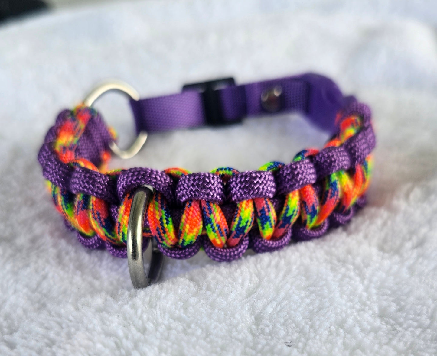 Collares para mascotas