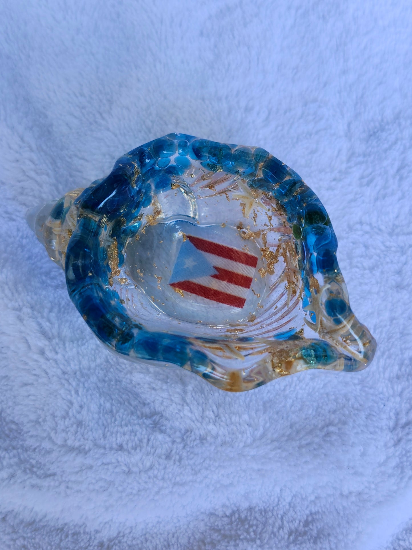 Caracol pequeño