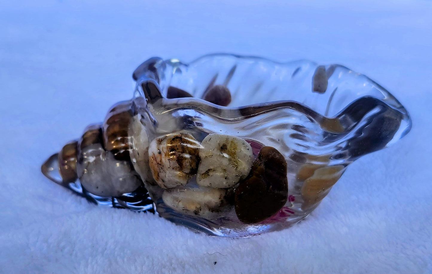 Caracol pequeño