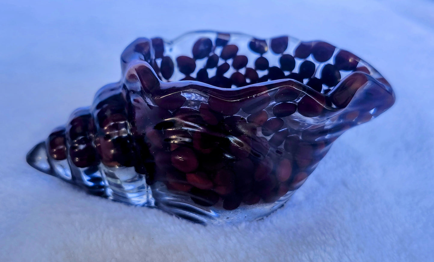 Caracoles pequeños