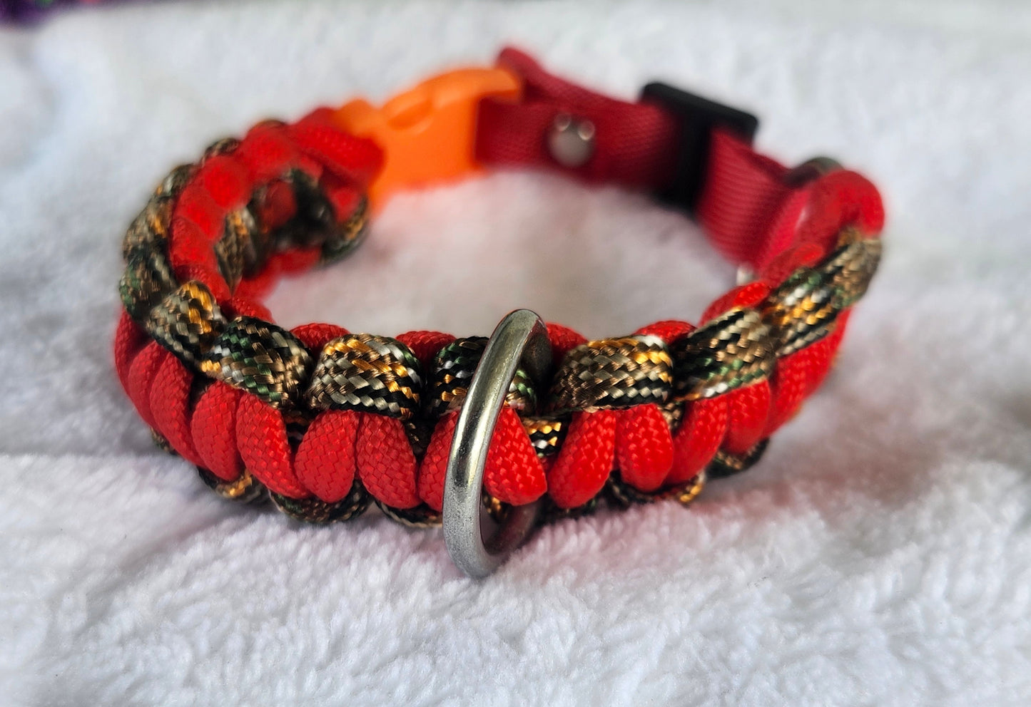 Collares para mascotas