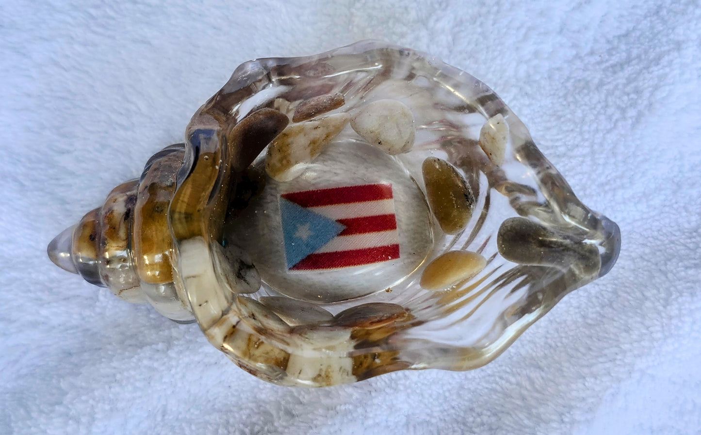 Caracol pequeño