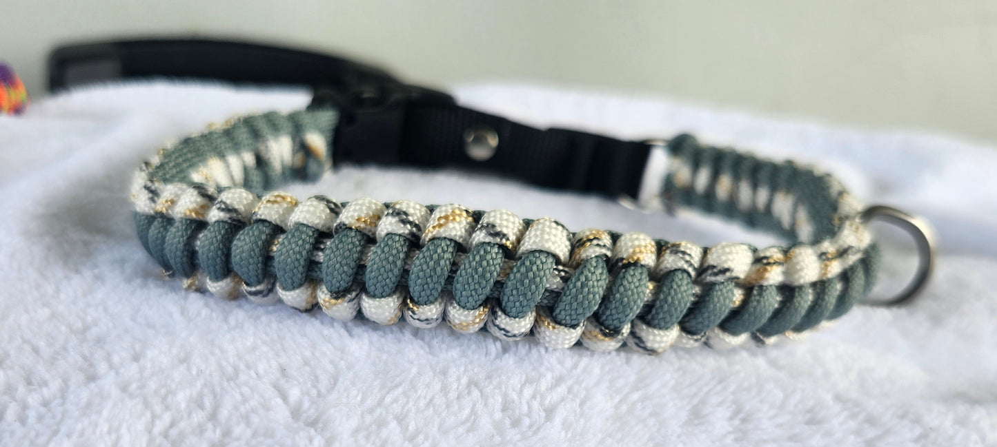 Collares para mascotas