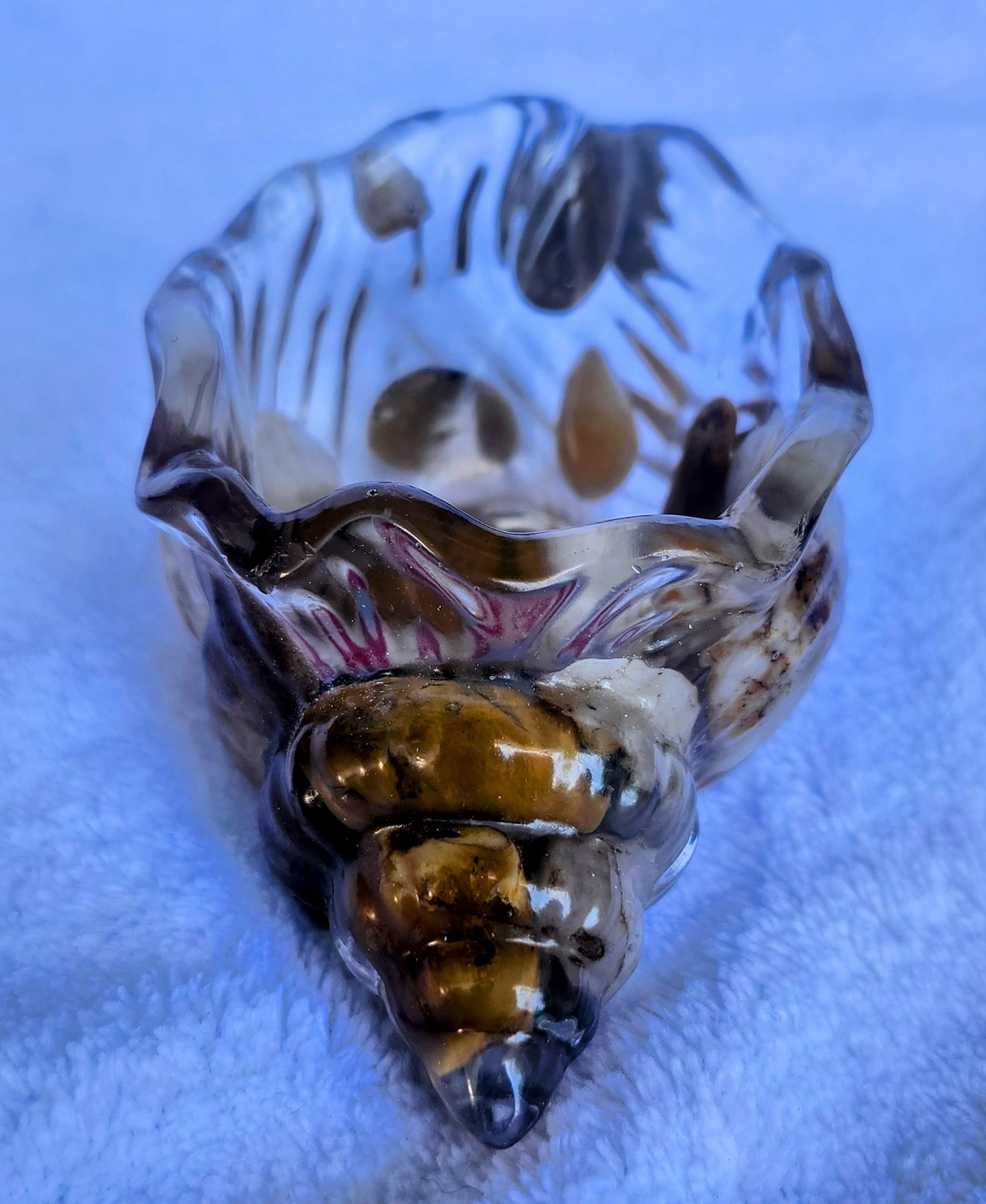 Caracol pequeño