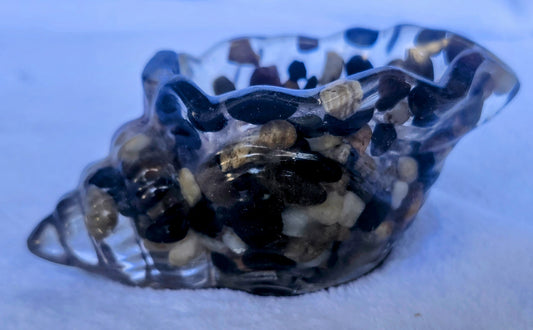 Caracoles pequeños