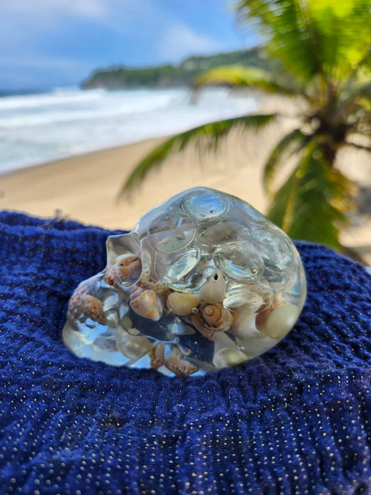 Calavera Grande con caracoles