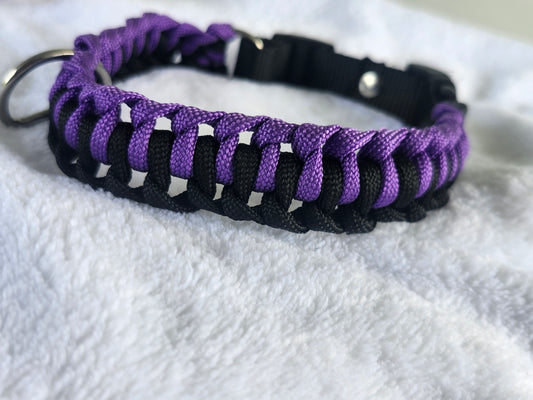 Collares para mascotas