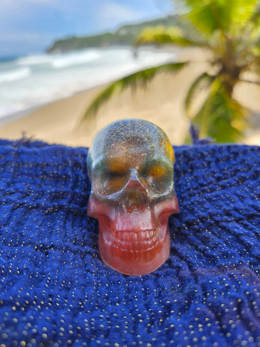 Calavera Mediana con semillas y arena