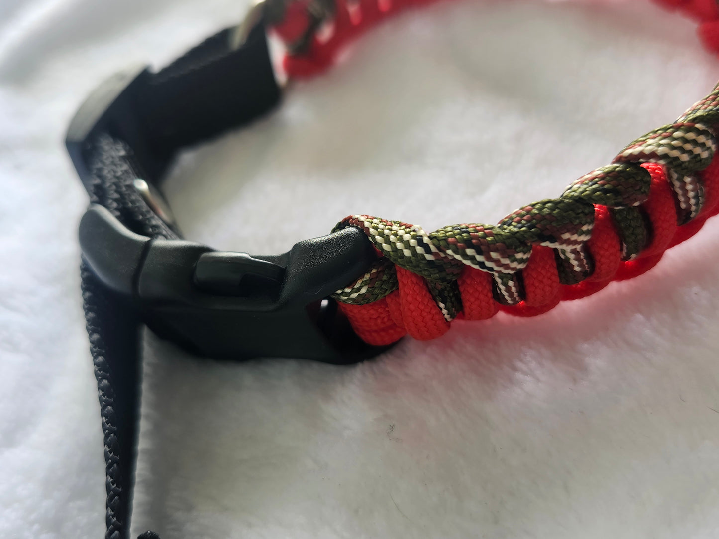 Collares para mascotas