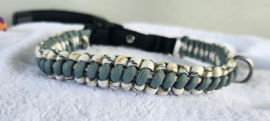 collares para perritos large