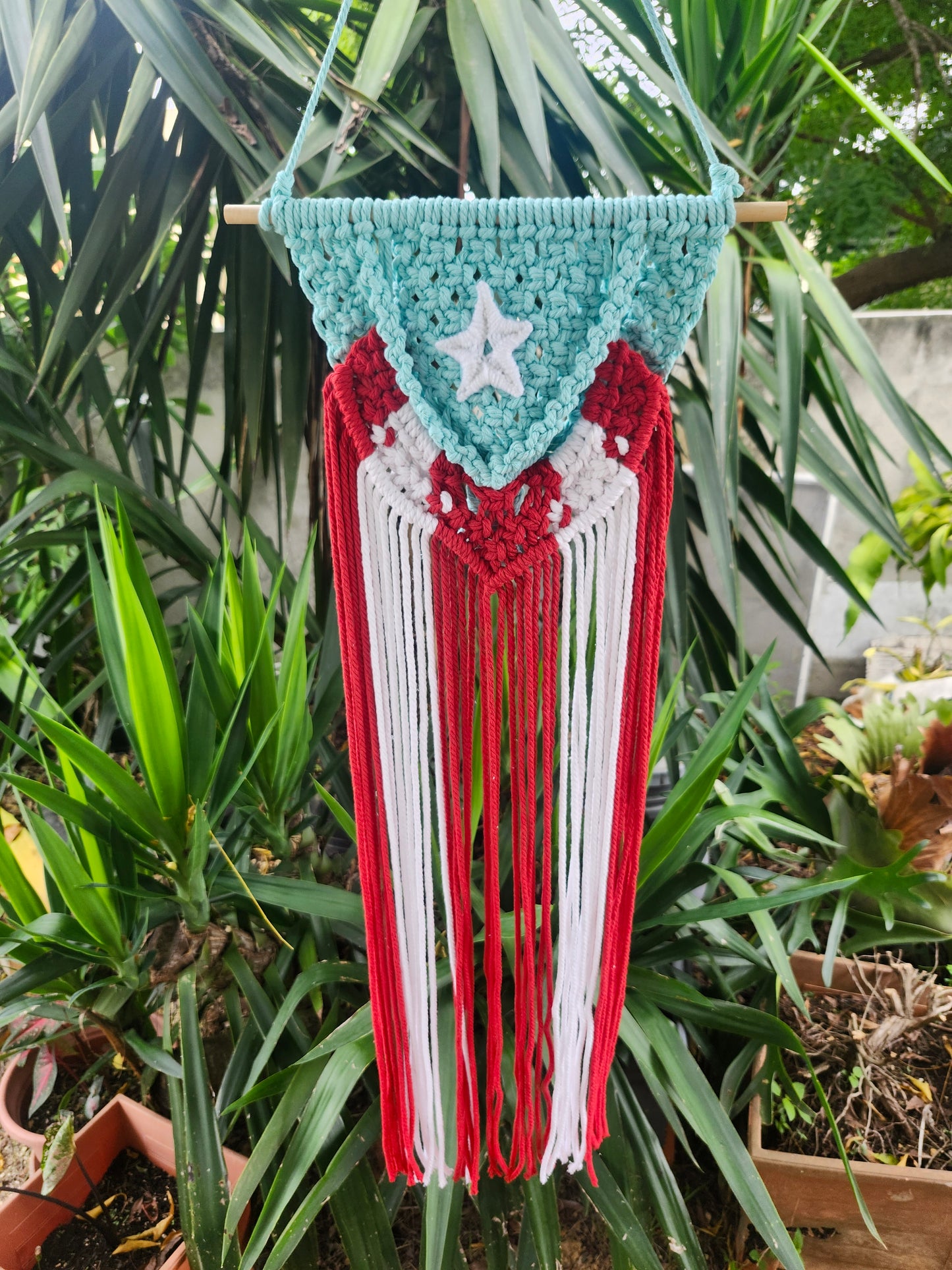 Mi Bandera 🇵🇷 Puerto Rico