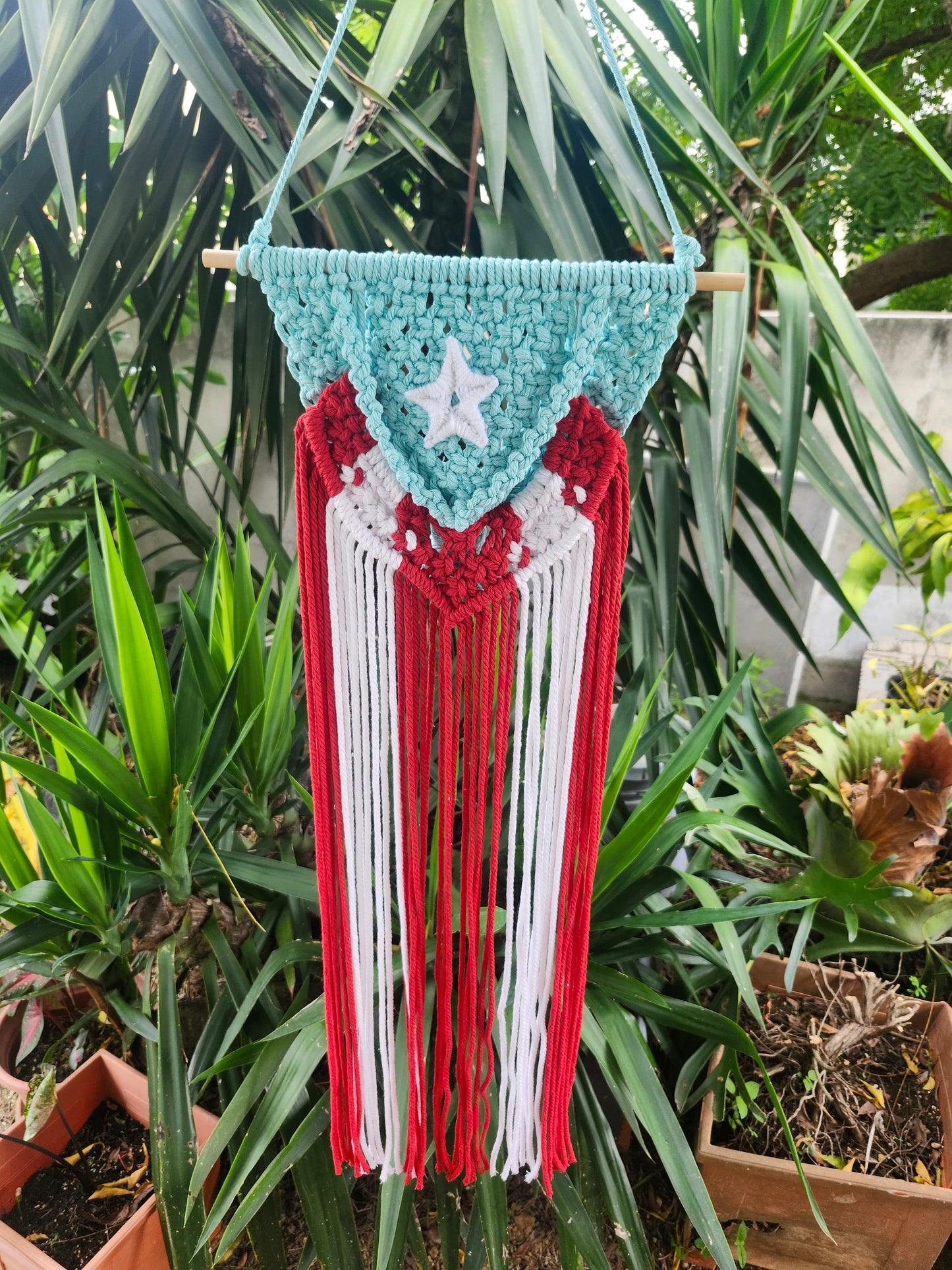 Mi Bandera 🇵🇷 Puerto Rico