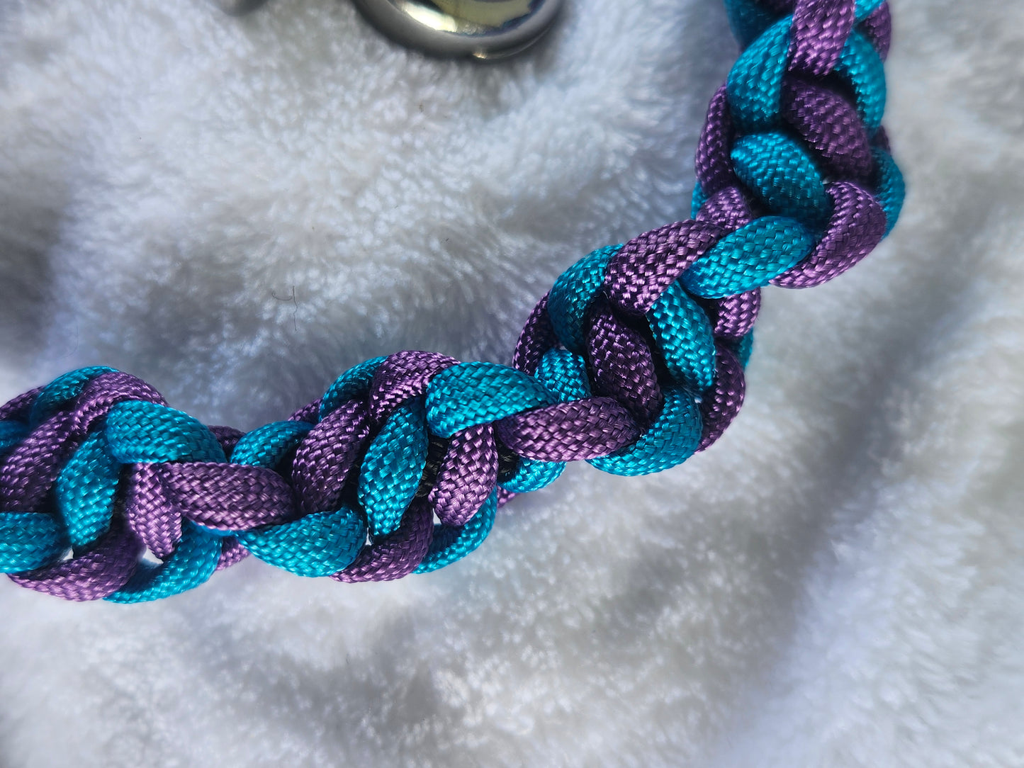 Leash para mascotas