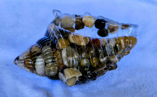 Caracol grande