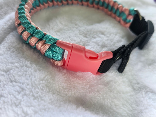 collares para perritos medium
