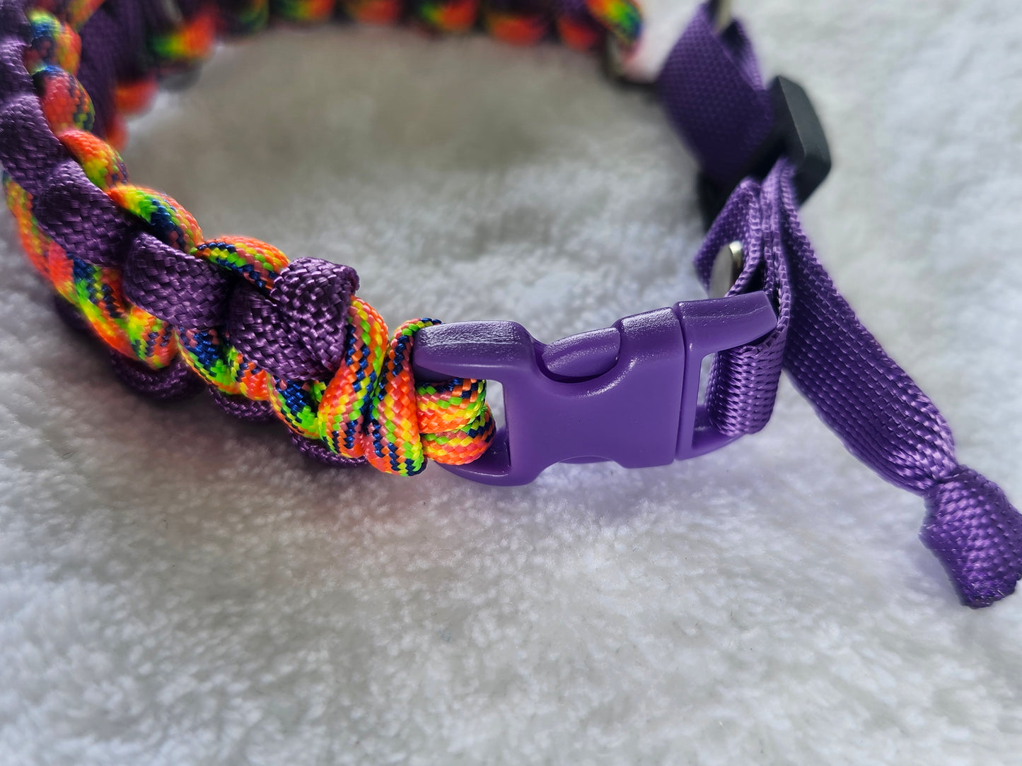 Collares para mascotas