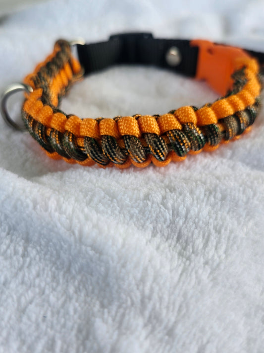 Collares para mascotas