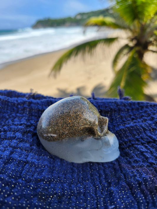 Calavera Mediana con arena